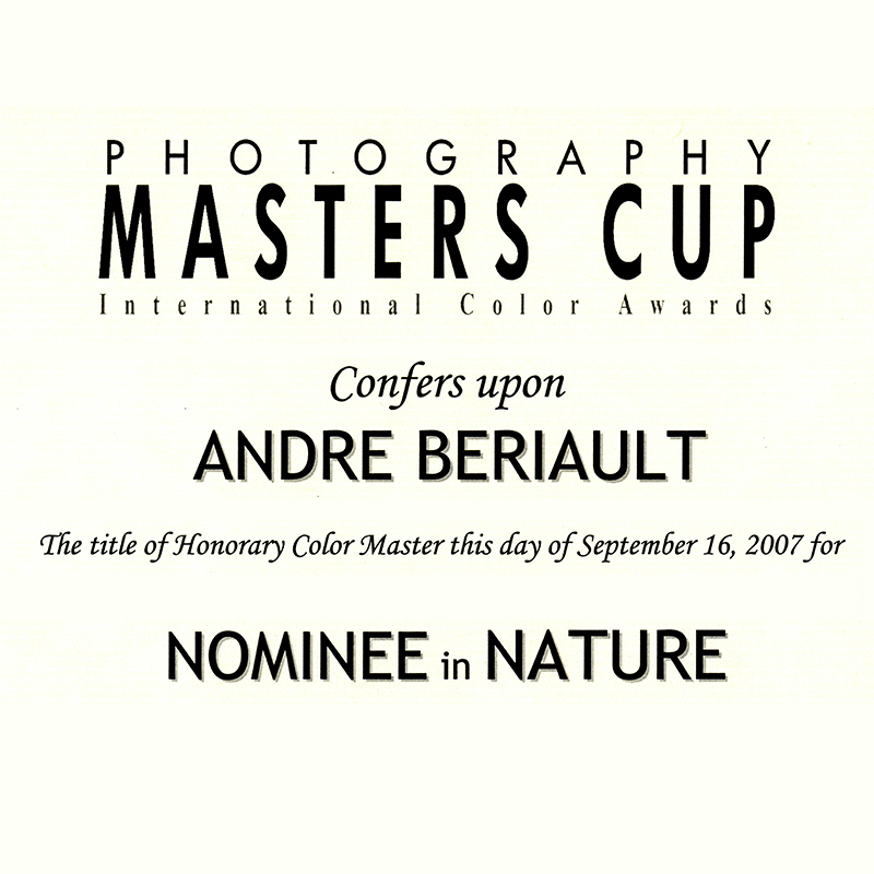 MASTERS CUP COLOR AWARDS Logo
