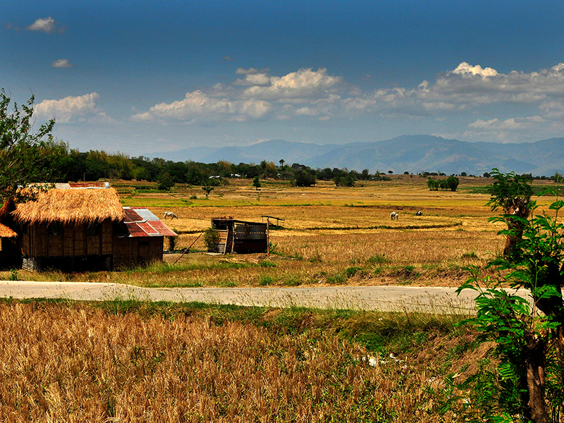 Collection Ilocos à Batangas | Ilocos to Batangas Collection