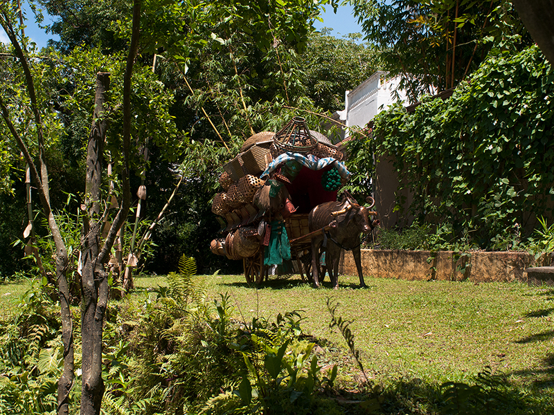 Collection LE MUSEE PINTO | THE PINTO MUSEUM Collection