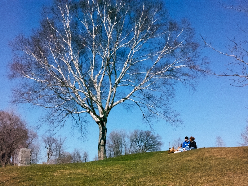 PLAINES D'ABRAHAM | ABRAHAM PARK