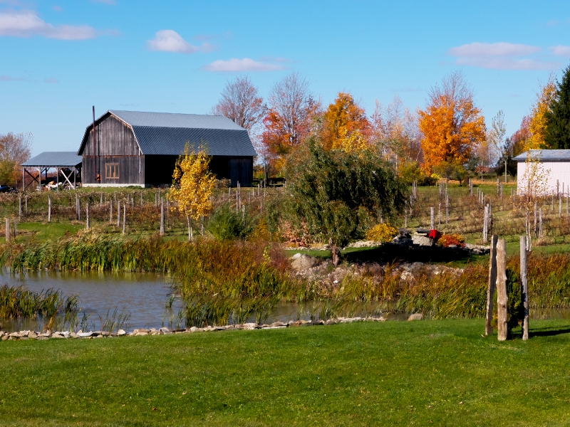 DE LA TERRE À LA TABLE | HARTLAND TO TABLE