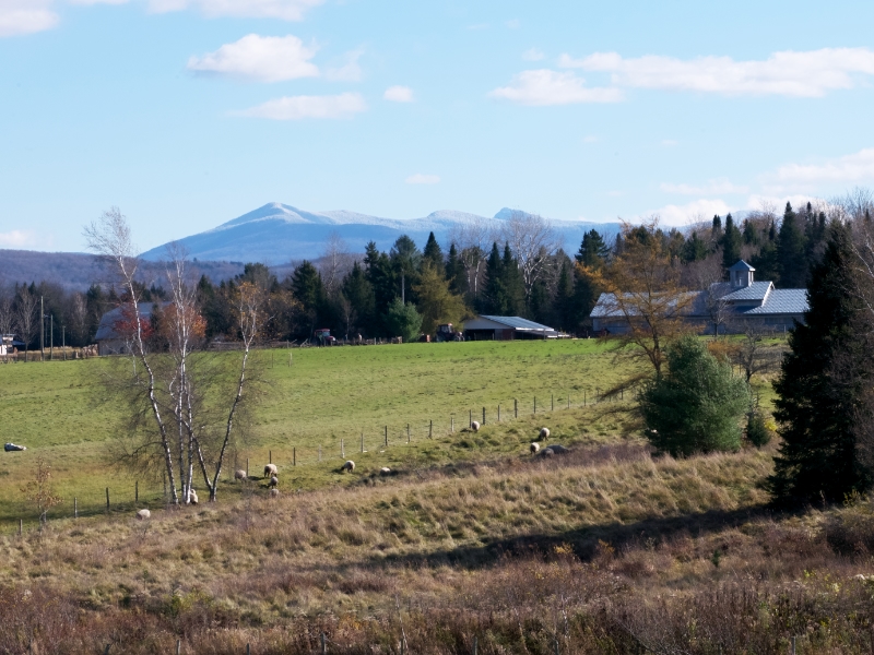 DE LA TERRE À LA TABLE | HARTLAND TO TABLE