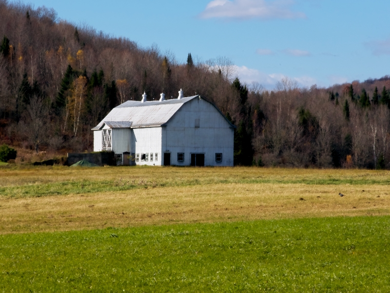 DE LA TERRE À LA TABLE | HARTLAND TO TABLE