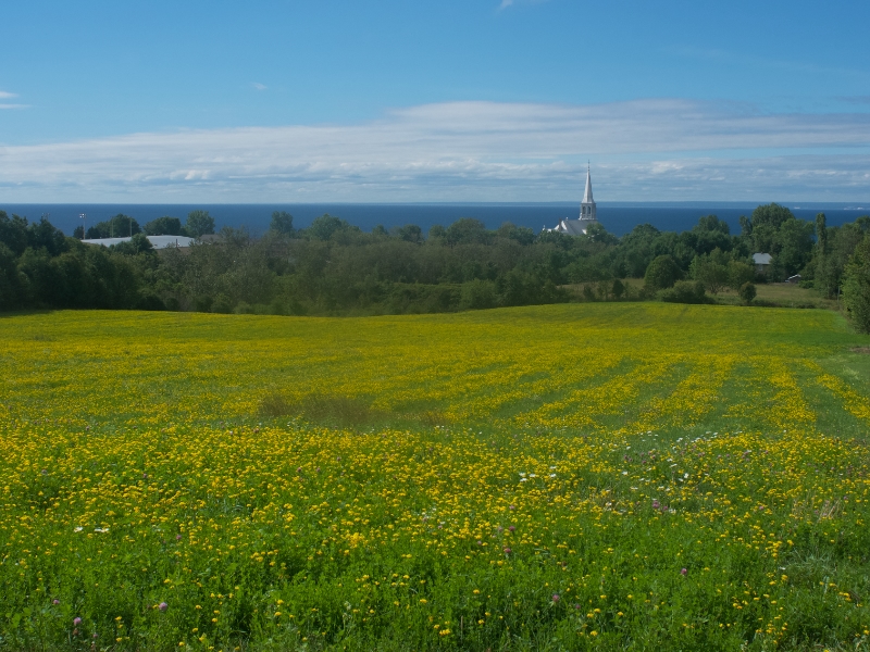 DE LA TERRE À LA TABLE | HARTLAND TO TABLE