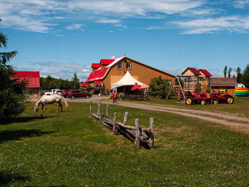 DE LA TERRE À LA TABLE | HARTLAND TO TABLE