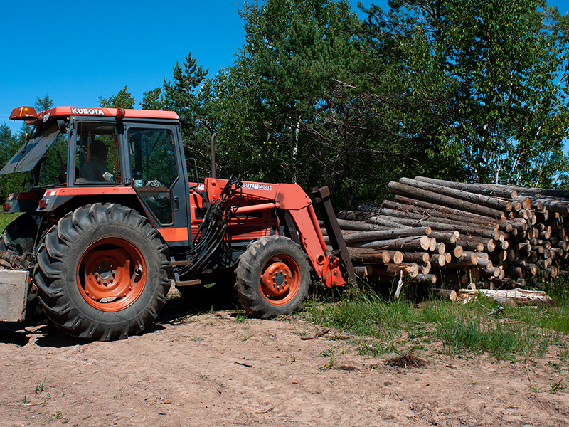 MOULIN À BOIS M.COUSIN | M.COUSIN WOOD CUTTING MILL