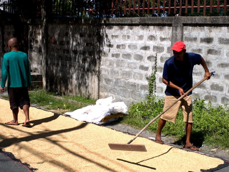 TRAVAILLEURS DE LA RUE | STREET WORKERS