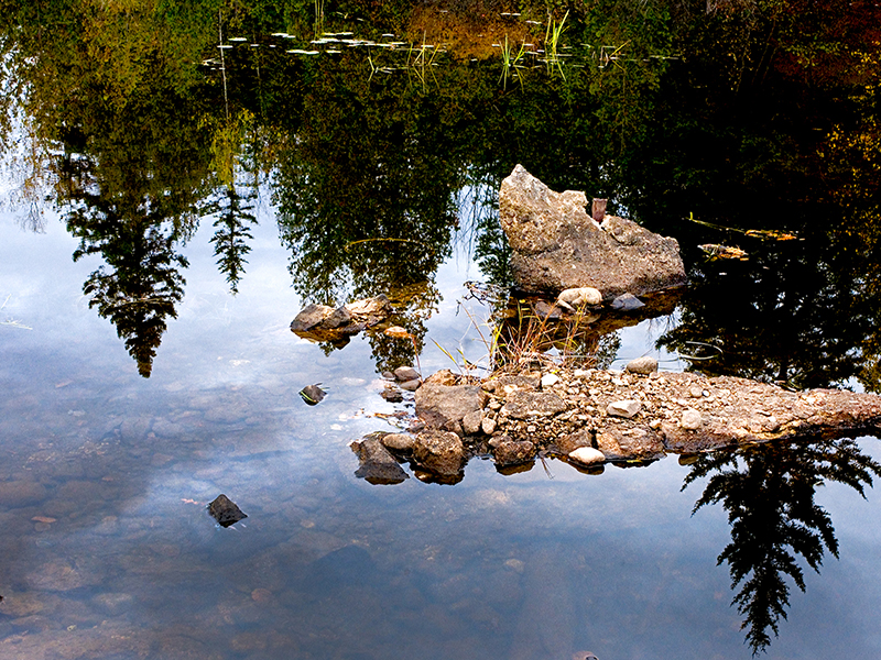 Mondes cachés | Hidden worlds