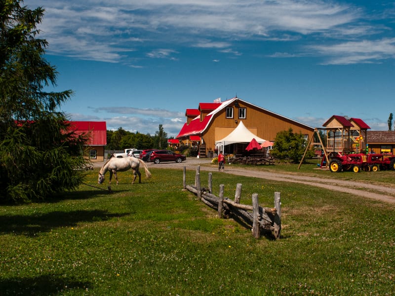 Baie des Chaleurs | Chaleurs Bay