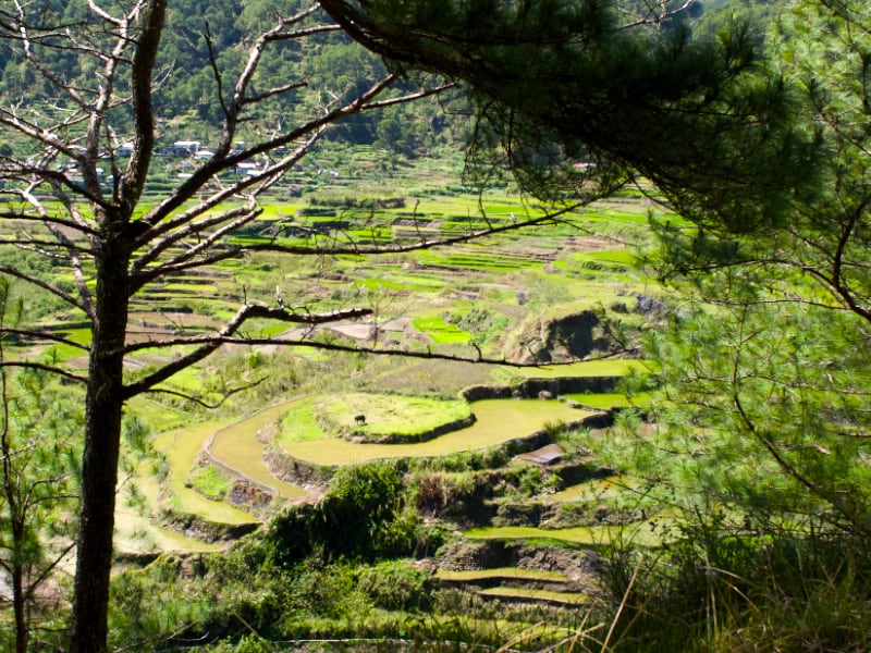 Villages Urbains, La Cordillère sur l'Île de Luzon | The Cordillera on Luzon island, Urban Villages Collection
