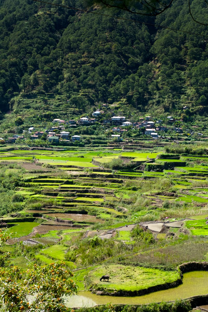 Villages Urbains, La Cordillère sur l'Île de Luzon | The Cordillera on Luzon island, Urban Villages Collection