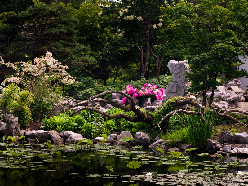 JARDIN BOTANIQUE DE MONTRÉAL | MONTREAL BOTANICAL GARDEN