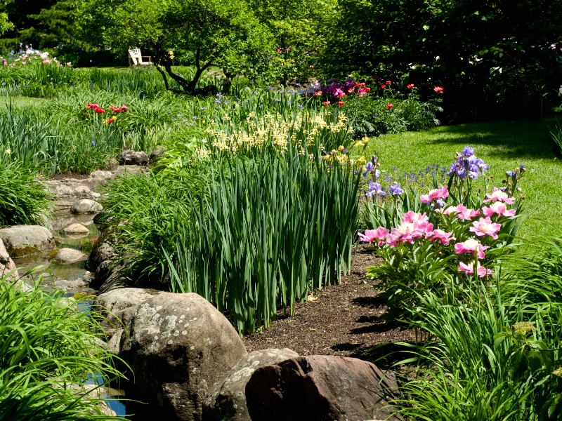 JARDIN BOTANIQUE DE MONTRÉAL | MONTREAL BOTANICAL GARDEN