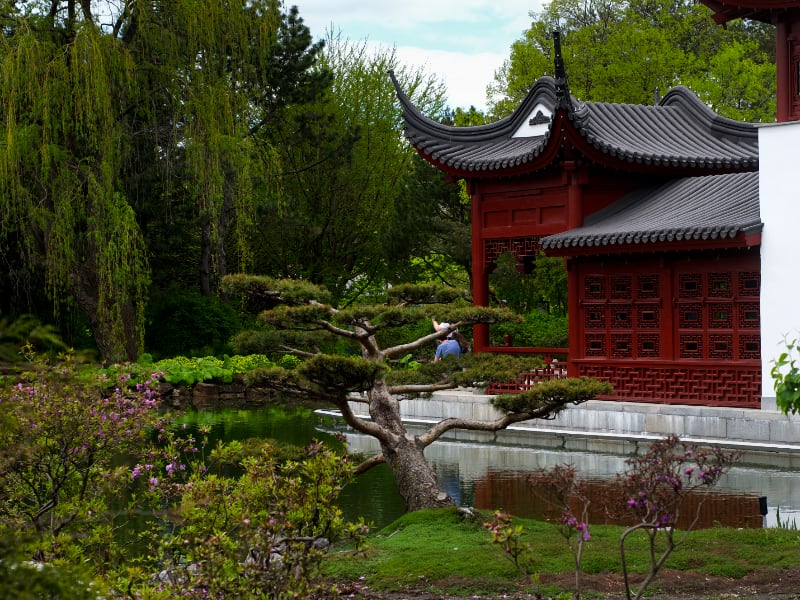 JARDIN DE CHINE, Jardin Botanique de Montréal | CHINESE GARDEN, Montreal Botanical Garden