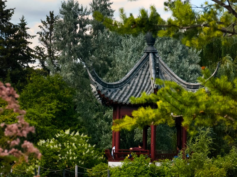 JARDIN DE CHINE, Jardin Botanique de Montréal | CHINESE GARDEN, Montreal Botanical Garden