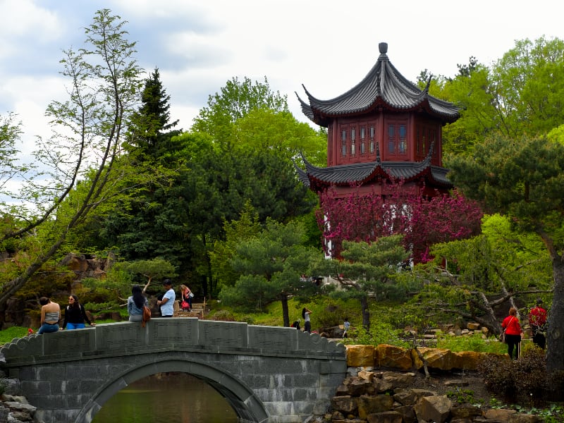 JARDIN DE CHINE, Jardin Botanique de Montréal | CHINESE GARDEN, Montreal Botanical Garden