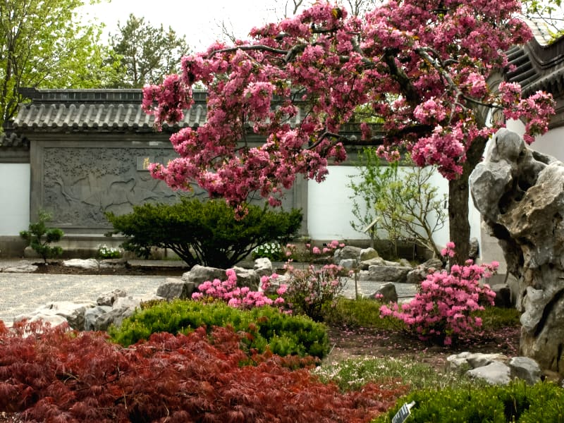 JARDIN DE CHINE, Jardin Botanique de Montréal | CHINESE GARDEN, Montreal Botanical Garden