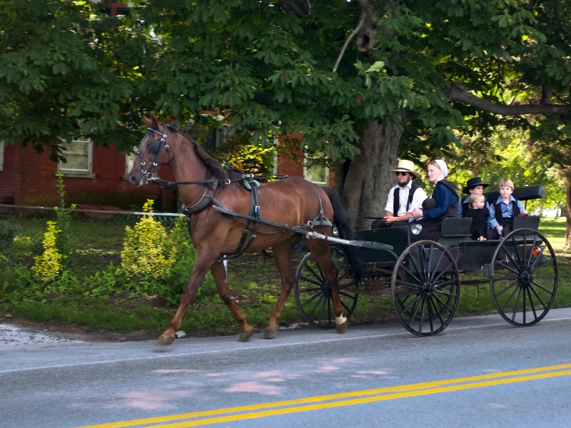 LES AMISH, LANCASTER É.U. | THE LANCASTER AMISH, USA