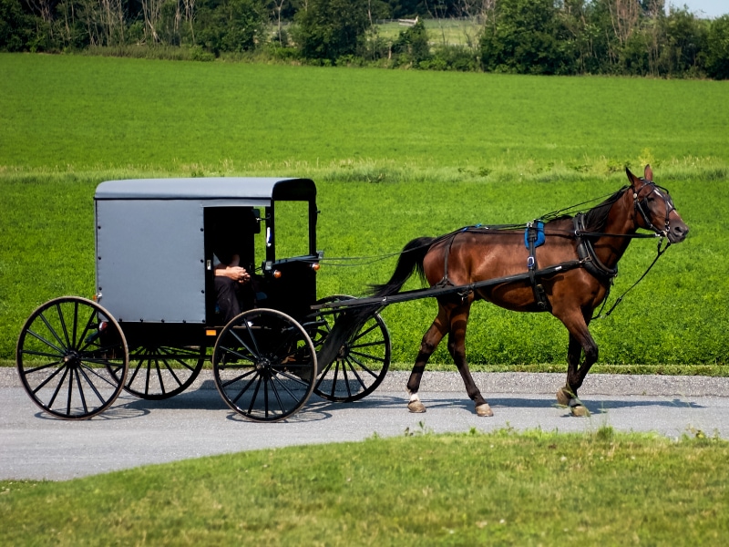 LES AMISH, LANCASTER É.U. | THE LANCASTER AMISH, USA