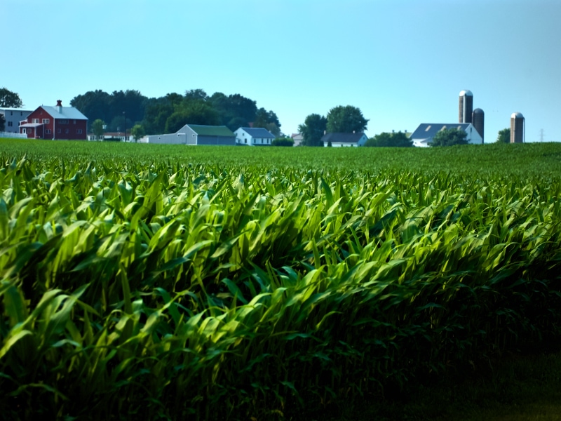 LES AMISH, LANCASTER É.U. | THE LANCASTER AMISH, USA