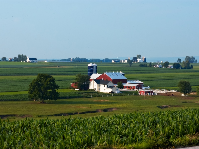 LES AMISH, LANCASTER É.U. | THE LANCASTER AMISH, USA