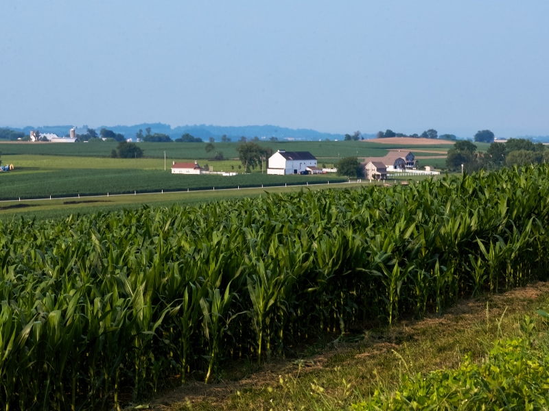 LES AMISH, LANCASTER É.U. | THE LANCASTER AMISH, USA