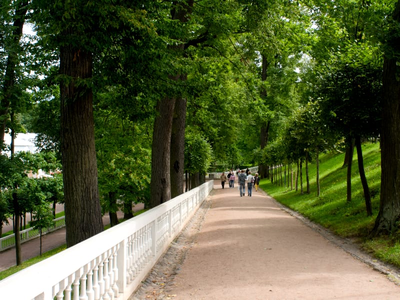 Palais Romavov, Saint Petersbourg | Romanov Palaces, Saint Petersburg