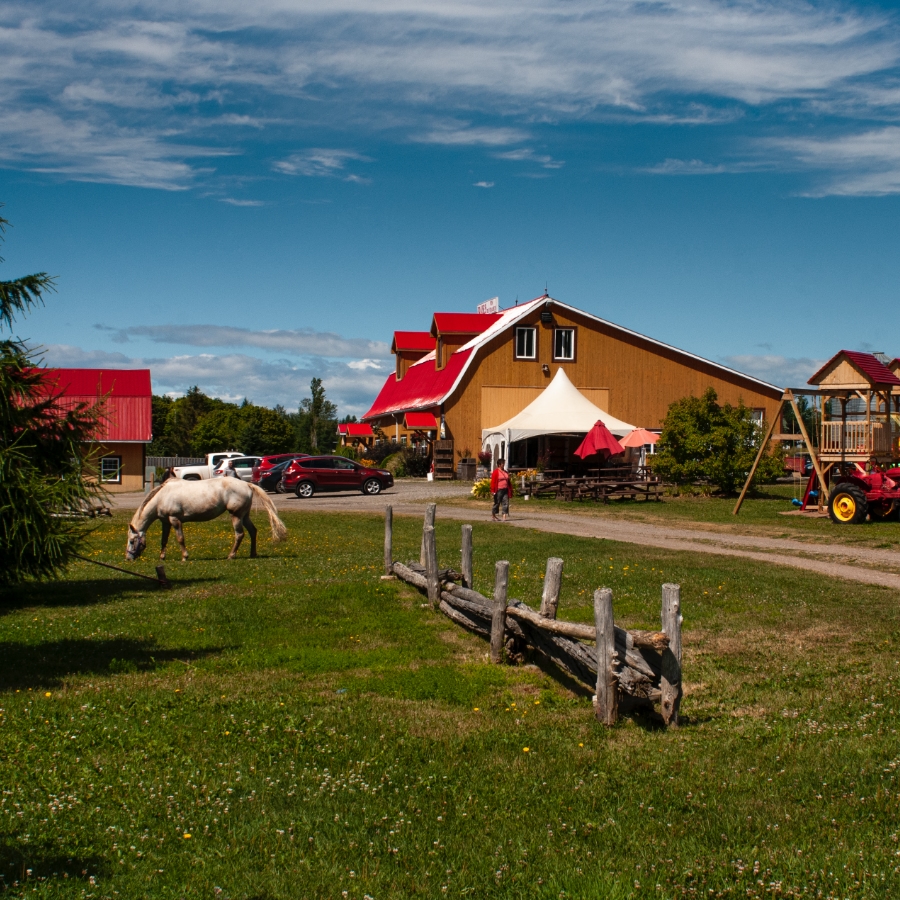 Collection Villages Urbains TERRES ET FORÊTS CAPLAN À PERCÉ | Urban Villages Collection CAPLAN & PERCÉ LAND & FORESTRY